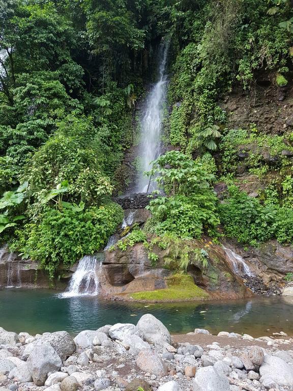 Hostel Orozco - Costa Rica Río Cuarto Екстериор снимка