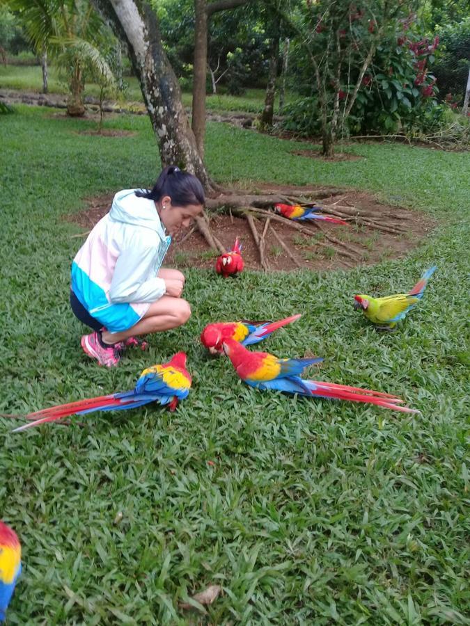 Hostel Orozco - Costa Rica Río Cuarto Екстериор снимка