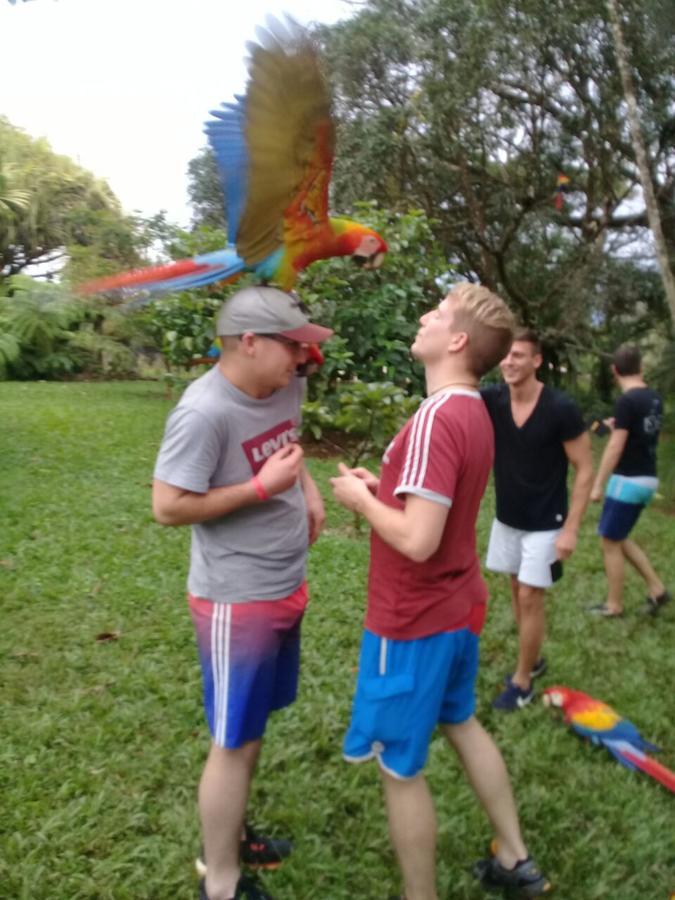 Hostel Orozco - Costa Rica Río Cuarto Екстериор снимка