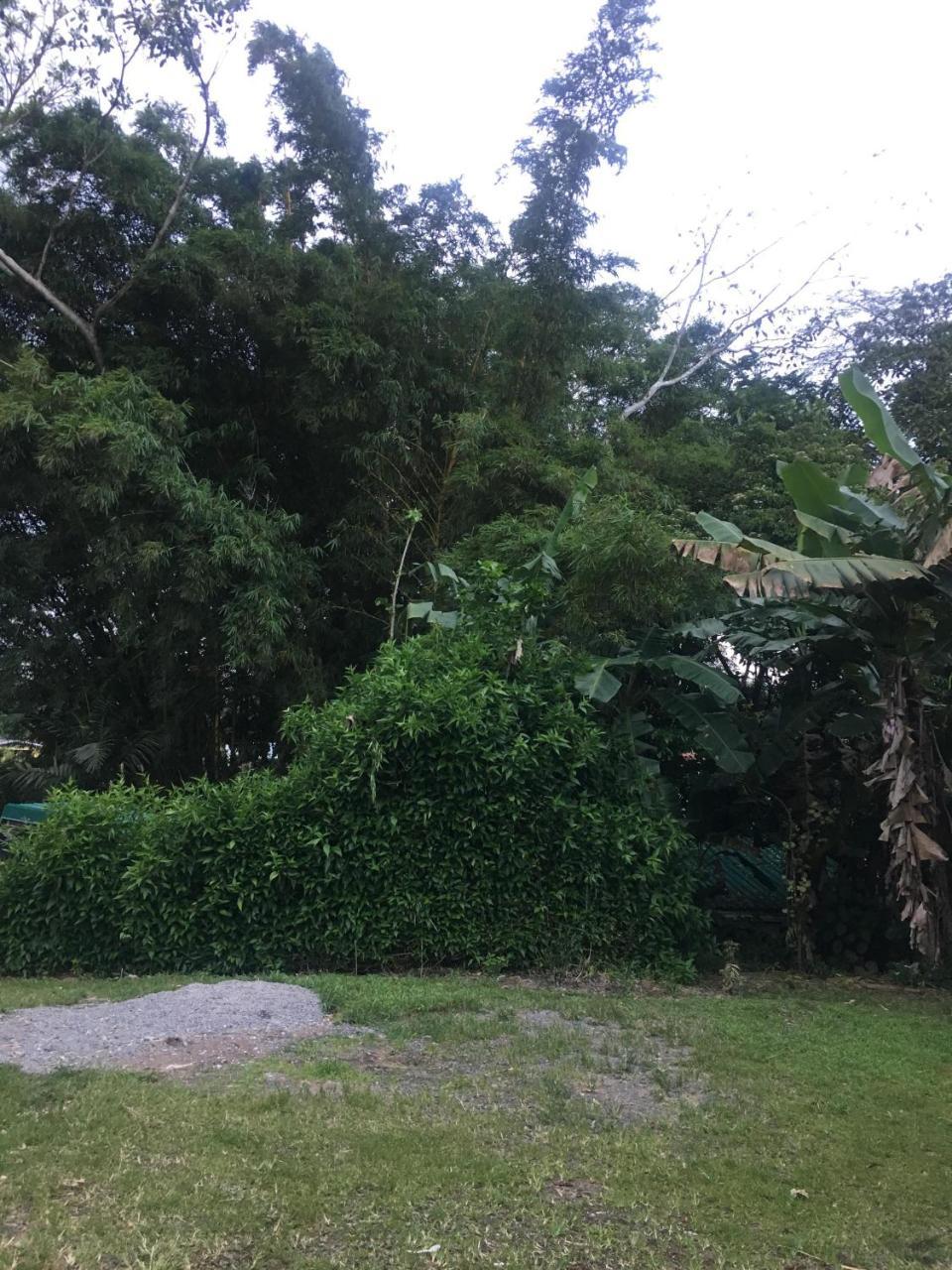 Hostel Orozco - Costa Rica Río Cuarto Екстериор снимка