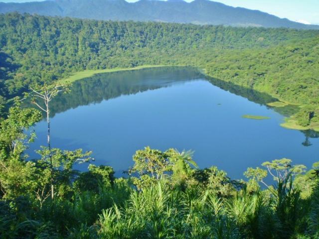 Hostel Orozco - Costa Rica Río Cuarto Екстериор снимка