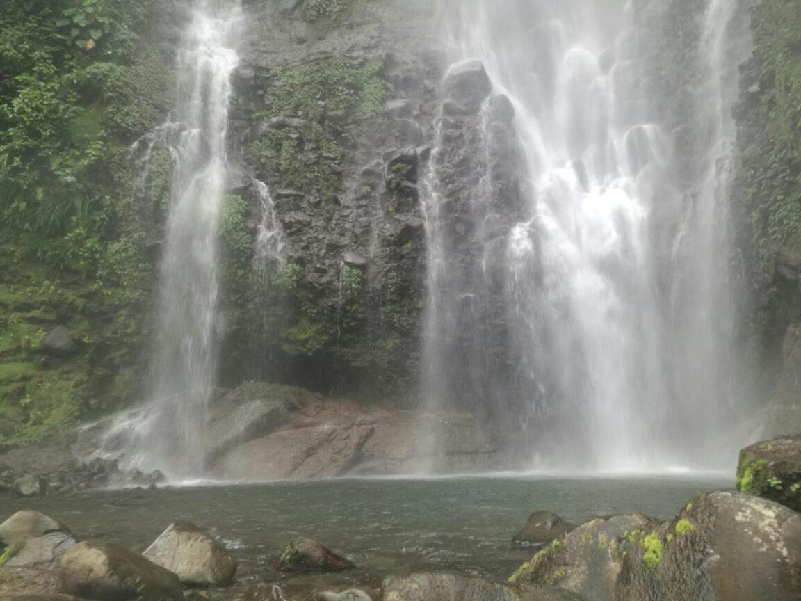 Hostel Orozco - Costa Rica Río Cuarto Екстериор снимка
